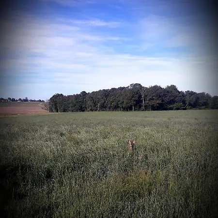 Chez Annie Saint-Martin-de-Gurçon