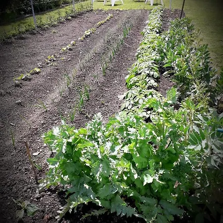 Chez Annie Saint-Martin-de-Gurçon