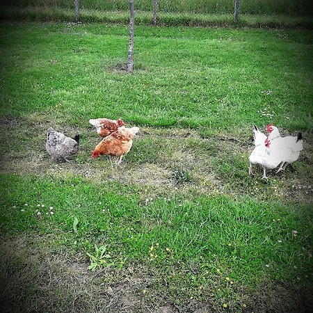 Chez Annie Saint-Martin-de-Gurçon