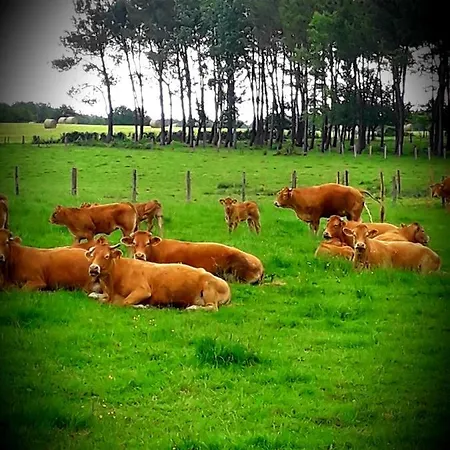 Chez Annie Panzió 3*