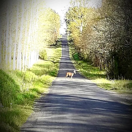 Chez Annie Bed & Breakfast