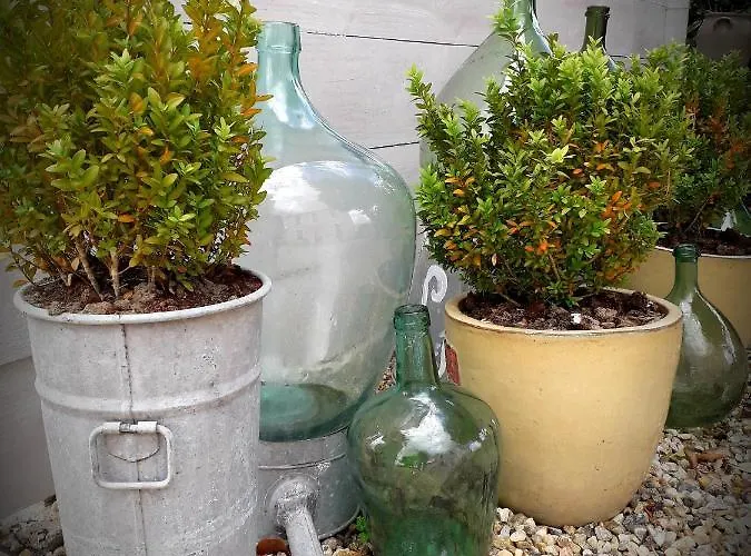 Bed & Breakfast Chez Annie