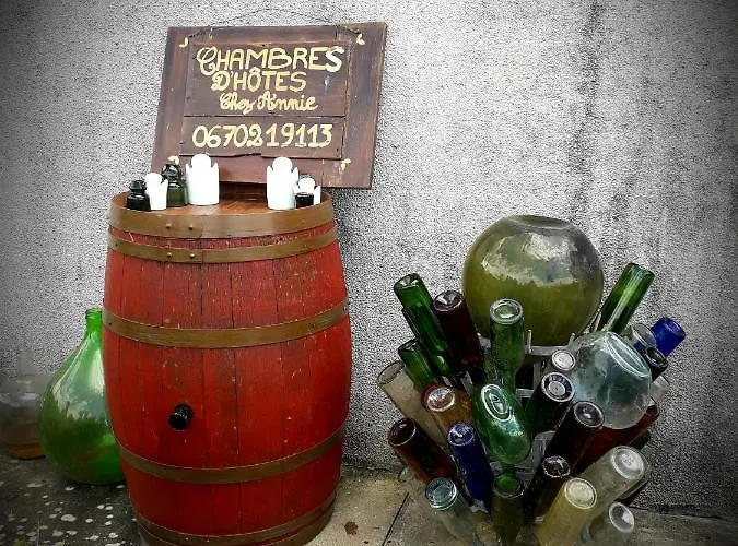 Chez Annie Alojamento de Acomodação e Pequeno-almoço Saint-Martin-de-Gurçon