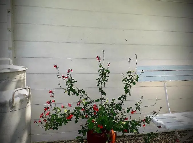 Chez Annie Bed & Breakfast 3*