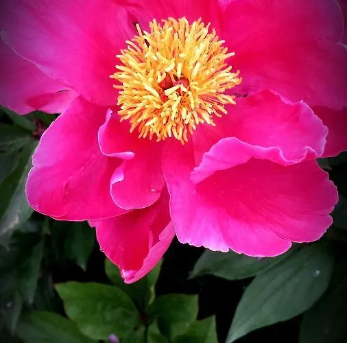 Chez Annie Bed & Breakfast Saint-Martin-de-Gurçon