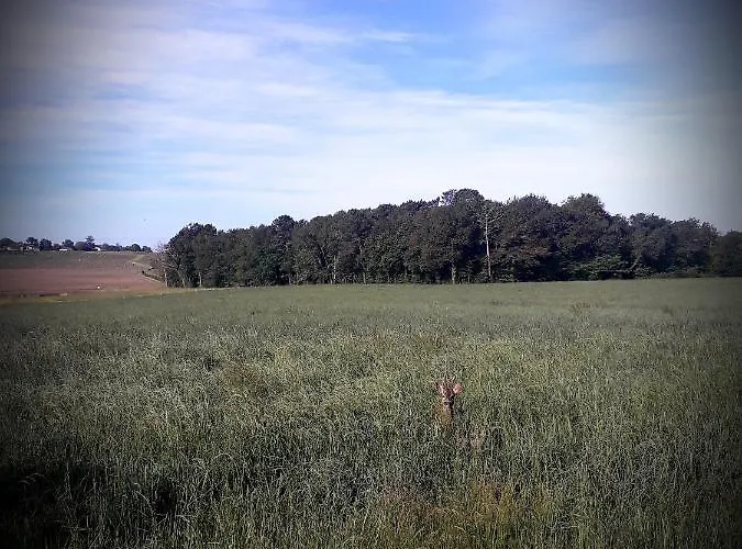 Chez Annie Saint-Martin-de-Gurçon