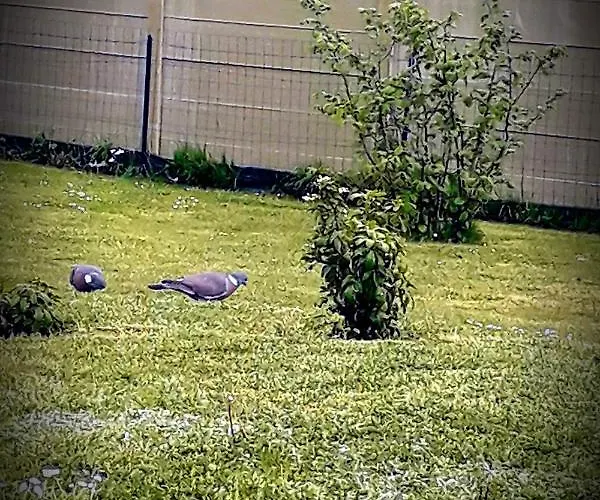 Chez Annie Bed & Breakfast 3*