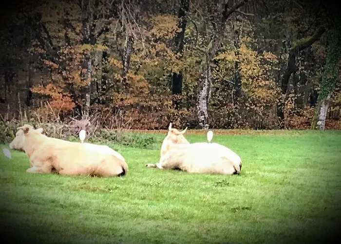 Bed & Breakfast Chez Annie Saint-Martin-de-Gurçon