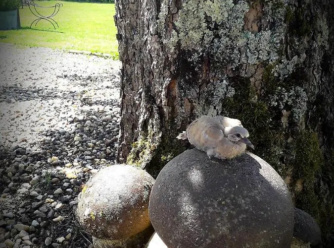 Bed & Breakfast Chez Annie 3*