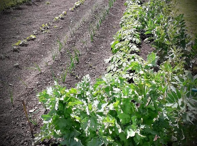 Chez Annie Saint-Martin-de-Gurçon
