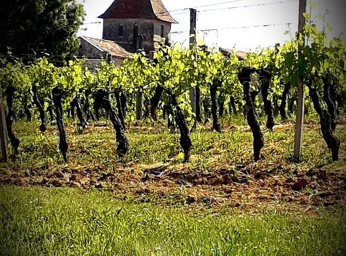 Chez Annie Bed & Breakfast 3*