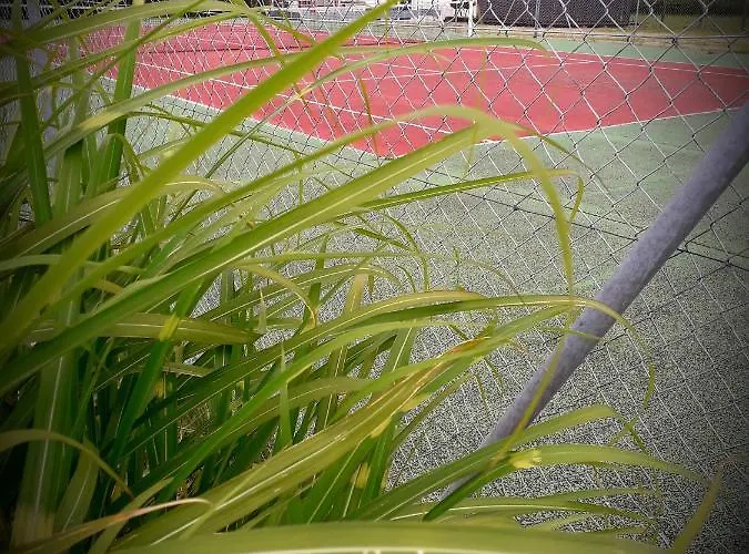 Chez Annie Saint-Martin-de-Gurçon