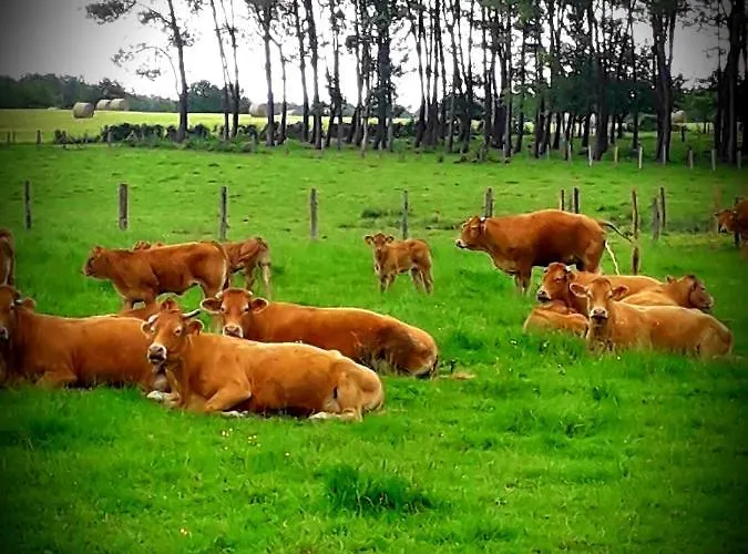 Chez Annie Bed & Breakfast 3*