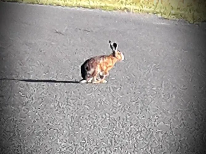 Bed & Breakfast Chez Annie