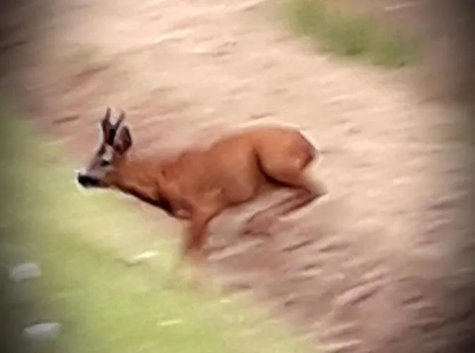 Chez Annie Bed & Breakfast 3*