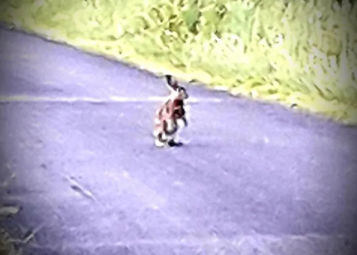 Chez Annie Bed & Breakfast Saint-Martin-de-Gurçon