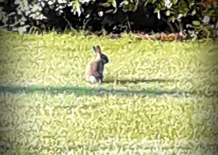 Chez Annie Saint-Martin-de-Gurçon