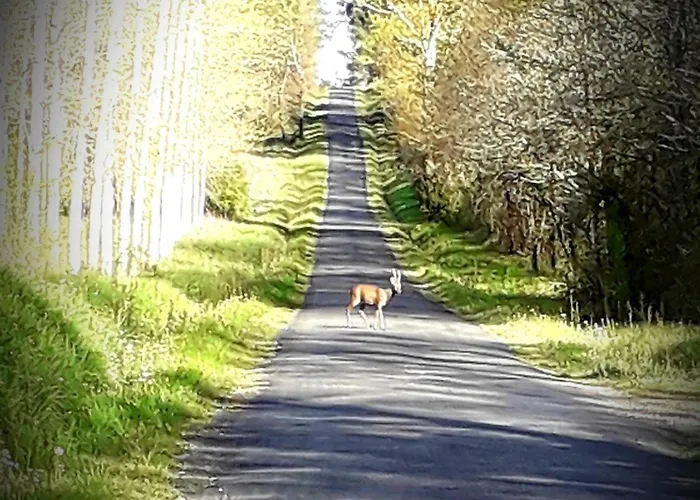 Chez Annie Bed & Breakfast